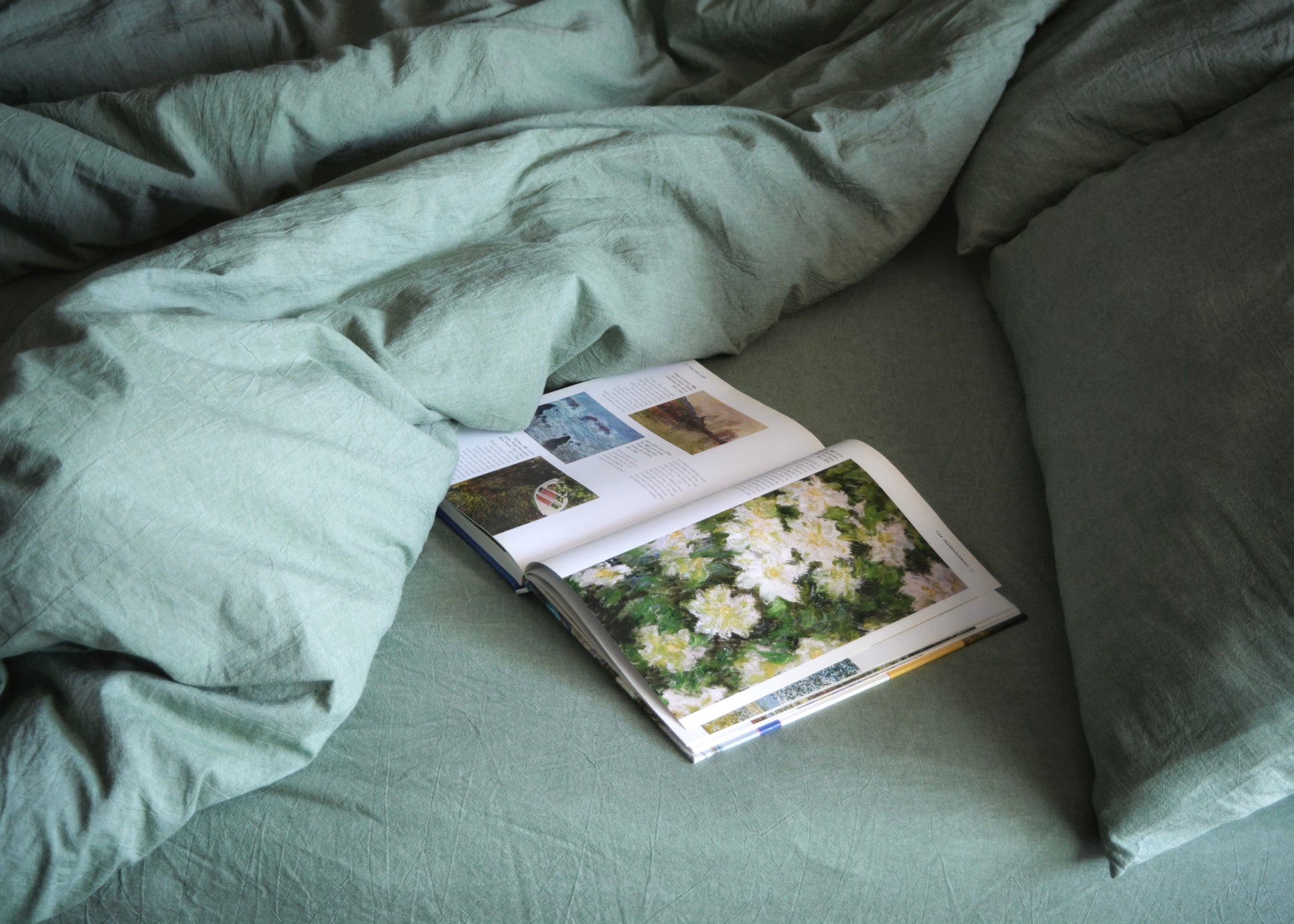 Fitted Sheets, King size in Verdant Valley Green color